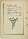 Title: not titled [lobelia simpliciaulis]. | Date: 1861 | Technique: woodengraving, printed in black ink, from one block