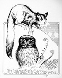 Artist: Twigden, Blake. | Title: Bookplate: Pat Corrigan (Possum and owl) | Date: 1976 | Technique: offset-lithograph, printed in black ink