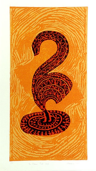 Artist: SHEARER, Mitzi | Title: The swan that isn't | Date: 1977 | Technique: linocut, printed in colour from, five blocks