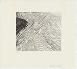 Artist: Nuggett, Amy. | Title: Crocodile. | Date: 1994 | Technique: etching, printed in black ink, from one plate