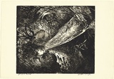 Artist: BOYD, Arthur | Title: Falling figure with beast's head. | Date: (1962-63) | Technique: etching, and aquatint, printed in black ink, from one plate | Copyright: Reproduced with permission of Bundanon Trust