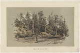 Artist: UNKNOWN | Title: Bells's Hut, Black's Spur | Date: c.1890 | Technique: lithograph, printed in colour, from two stones; hand-coloured