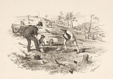 Artist: GILL, S.T. | Title: Surfacing. | Date: 1852 | Technique: lithograph, printed in black ink, from one stone