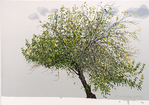 Artist: ROSE, David | Title: Another autumn mulberry | Date: 1990 | Technique: screenprint, printed in colour, from multiple stencils