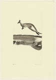 Artist: Law, Roger. | Title: (Leaping kangaroo) | Date: 2005 | Technique: aquatint, printed in sepia ink, from one plate