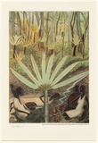 Artist: McMahon, Marie. | Title: not titled | Date: 1988 | Technique: offset-lithograph, printed in colour, from three process colour plus black | Copyright: © Marie McMahon. Licensed by VISCOPY, Australia
