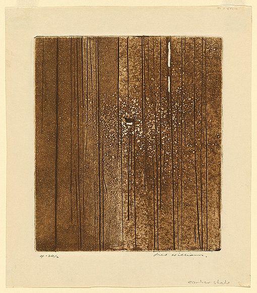Artist: WILLIAMS, Fred | Title: Sherbrooke Forest. Number 1 | Date: 1961 | Technique: engraving, aquatint, open biting, foul biting, printed in brown ink, from one copper plate | Copyright: © Fred Williams Estate