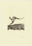 Artist: Law, Roger. | Title: (Leaping kangaroo II) | Date: 2005 | Technique: aquatint, printed in brown/black ink, from one plate