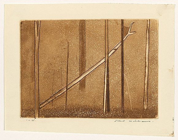 Artist: WILLIAMS, Fred | Title: Fallen tree | Date: 1962 | Technique: etching, engraving, aquatint, drypoint, printed in brown ink, from one copper plate | Copyright: © Fred Williams Estate Artist: WILLIAMS, Fred | Title: Fallen tree | Date: 1962 | Technique: etching, engraving, aquatint, drypoint, printed in brown ink, from one copper plate | Copyright: © Fred Williams Estate
