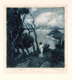 Artist: LINDSAY, Lionel | Title: Cremorne Point, Sydney. | Date: c.1910 | Technique: etching and mezzotint, printed in blue ink, from one plate | Copyright: Courtesy of the National Library of Australia