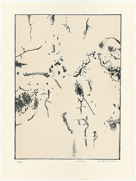 Artist: WILLIAMS, Fred | Title: Acacias | Date: 1977-78 | Technique: lithograph, printed in colour, from two zinc plates | Copyright: © Fred Williams Estate