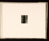Artist: Mann, Gillian. | Title: (Abstract). | Date: 1981 | Technique: etching, printed in black ink, from one plate