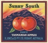 Artist: UNKNOWN | Title: Label: Sunny South apples, Hobart | Date: c.1930 | Technique: colpour lithograph,