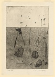 Artist: WILLIAMS, Fred | Title: Gum trees in landscape, Lysterfield | Date: 1965-66 | Technique: etching, sugar aquatint, engraving, drypoint, open biting, printed in black ink, from one copper plate | Copyright: © Fred Williams Estate