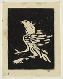 Artist: WILLIAMS, Fred | Title: The cockerel | Date: 1954 | Technique: linocut, printed in black ink, from one block | Copyright: © Fred Williams Estate