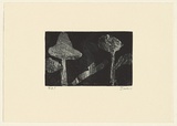Artist: Murphey, Idris. | Title: Not titled [ambiguous landscape- three trees and long shape in centre with dark background]. | Date: 2002 | Technique: open-bite and aquatint, printed in black ink, from one plate
