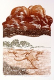 Artist: GRIFFITH, Pamela | Title: The great red kangaroo | Date: 1988 | Technique: etching and aquatint, printed in colour, from multiple plates | Copyright: © Pamela Griffith