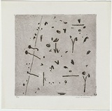 Artist: WILLIAMS, Fred | Title: Hillside number 2. | Date: 1965-66 | Technique: etching, flat biting, drypoint and mezzotint rocker, printed in black ink, from one zinc plate | Copyright: © Fred Williams Estate