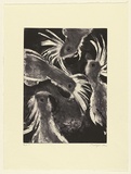 Artist: Law, Roger. | Title: (Cockies) | Date: 2003 | Technique: aquatint, printed in sepia ink, from one plate