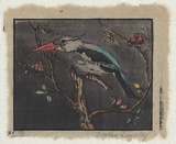 Artist: Lungley, Dorothy. | Title: not titled [Bird] | Date: c.1935 | Technique: woodcut, printed in colour, from multiple blocks
