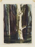 Artist: Jack, Kenneth. | Title: Swamp gums | Date: (1960s) | Technique: lithograph, printed in brown ink, from one plate; screenprint, printed in colour, from two stencils; linocut, printed in colour, from three blocks | Copyright: © Kenneth Jack. Licensed by VISCOPY, Australia