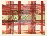Artist: McPherson, Megan. | Title: Hong Kong Island check | Date: 1997 | Technique: tuche lithograph, printed in colour and translucent white, from multiple stones