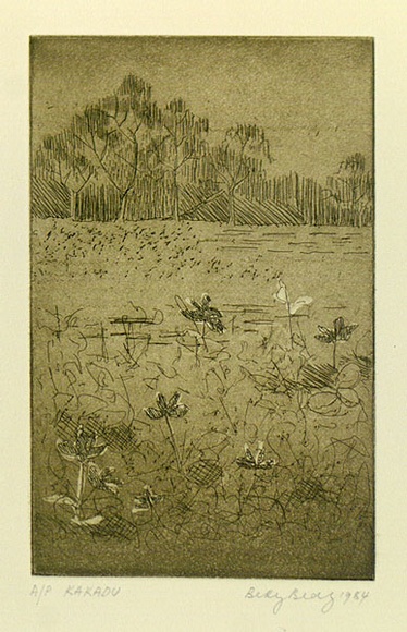 Artist: Bray, Betty. | Title: Kakadu. | Date: 1984 | Technique: aquatint, etching, roulette printed in green ink, from one copper/plate