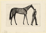 Artist: Brack, John. | Title: Strapper and horse. | Date: 1956 | Technique: drypoint, printed in black ink, from one copper plate | Copyright: © Helen Brack