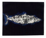 Artist: Shepherdson, Gordon. | Title: The Mackerel: Number six | Date: 1979 | Technique: etching and aquatint, printed in colour with plate-tone, from one plate