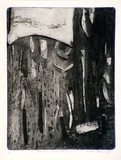 Artist: Gleeson, William. | Title: Forest in a gully, Heathmont | Date: 1966 | Technique: etching, printed in black ink, from one plate | Copyright: This work appears on screen courtesy of the artist
