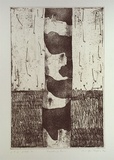 Artist: ROGERS, Jennifer | Title: Shedding gum | Date: 1982 | Technique: etching, printed in sepia ink, from one plate