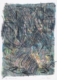Artist: MEYER, Bill | Title: Faraway tree two | Date: 1987 | Technique: screenprint, printed in eleven colours, from one direct emulsion reduction screen and two hand drawn with charcoal on acetate for indirect photo stencils | Copyright: © Bill Meyer