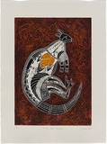 Artist: JENUARRIE, | Title: X-ray style kangaroo | Date: 1989 | Technique: linocut, printed in colour, from multiple blocks