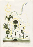 Artist: Olsen, John. | Title: Rainbow bird and frog. | Date: 1979 | Technique: screenprint, printed in colour, from 18 stencils | Copyright: © John Olsen. Licensed by VISCOPY, Australia