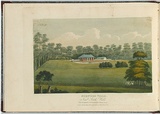 Artist: LYCETT, Joseph | Title: Burwood Villa, New South Wales. | Date: 1825 | Technique: etching and aquatint, printed in black ink, from one copper plate; hand-coloured