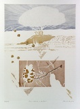Artist: GRIFFITH, Pamela | Title: Fire and rebirth in the bush | Date: 1989 | Technique: hardground-etching and aquatint, printed in colour, from one copper plate | Copyright: © Pamela Griffith