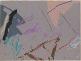 Artist: Ball, Sydney. | Title: Byron spring. | Date: 1980 | Technique: screenprint, printed in colour, from multiple stencils