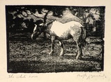 Artist: Reynolds, Frederick George. | Title: The white horse | Date: (1928) | Technique: woodcut, printed in black ink, from one block