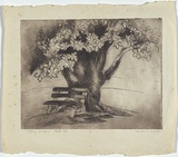 Artist: Brash, Barbara. | Title: Fitzroy Gardens, Melbourne. | Date: 1946 | Technique: etching printed with plate-tone in black/brown ink from one plate
