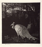 Artist: LINDSAY, Lionel | Title: Autumn | Date: 1924 | Technique: wood-engraving, printed in black ink, from one block | Copyright: Courtesy of the National Library of Australia