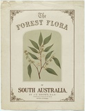 Artist: Fiveash, Rosa | Title: The forest flora of South Australia. | Date: 1882 | Technique: lithograph, printed in colour, multiple stones