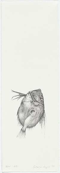 Artist: Pilgrim, Catherine. | Title: not titled [dory] | Date: 1998, November | Technique: lithograph, printed in black ink, from one stone