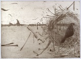 Artist: McIntosh, Alison. | Title: Bower bird I | Date: 1998, November | Technique: etching, printed in colour a la poupé, from one plate