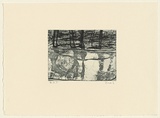 Artist: Murphey, Idris. | Title: Not titled [ambiguous landscape- tree trunks reflected in water]. | Date: 2002 | Technique: open-bite and aquatint, printed in green/black ink, from one plate