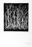 Artist: Clifton, Nancy. | Title: Dead forest. | Date: 1980 | Technique: woodcut, printed by hand in black ink, from one block