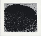 Artist: Kluge-Pott, Hertha. | Title: Melaleuka page 1. | Date: 2005 | Technique: etching and drypoint, printed in black ink with plate-tone, from one plate