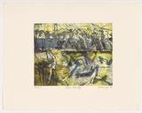 Artist: Cummings, Elizabeth. | Title: Bone country. | Date: 2006 | Technique: etching, aquatint and open-bite, printed in colour, from four plates