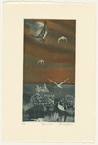 Artist: GRIFFITH, Pamela | Title: Spoonbills | Date: 1984 | Technique: hardground-etching and aquatint, printed in colour, from two zinc plates | Copyright: © Pamela Griffith
