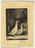 Artist: Lorimer, Vernon. | Title: not titled [Ducks crossing] | Date: c.1942 | Technique: etching, printed in black ink with plate-tone, from one plate