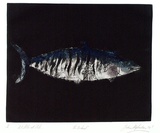 Artist: Shepherdson, Gordon. | Title: The Mackerel: Number two | Date: 1979 | Technique: etching and aquatint, printed in colour with plate-tone, from one plate